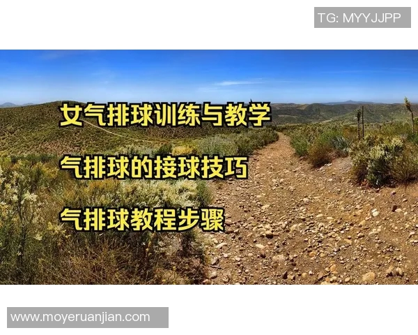 从零基础到高手之路：全面掌握排球速度技巧与训练方法