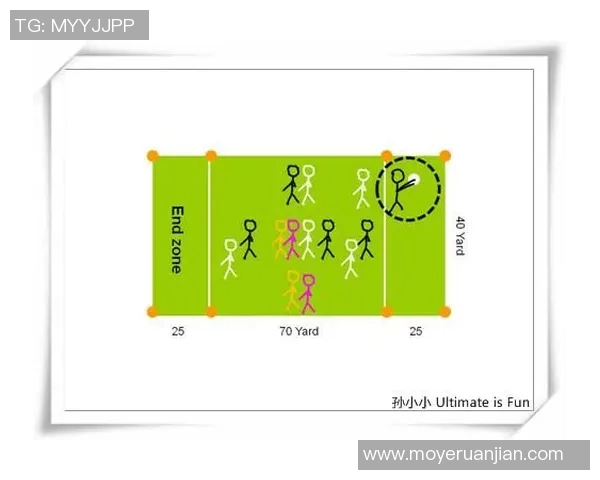 武汉飞盘队区域防守创新探索与战术分析全景解读