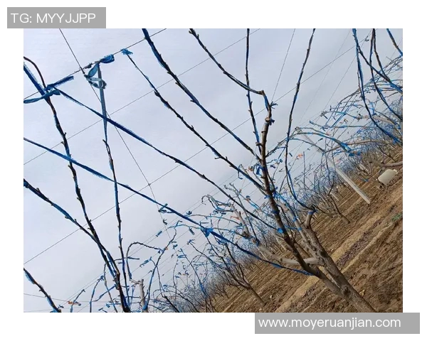 果园生态循环与可持续发展研究:从种植到管理的综合实践与创新探索